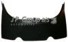 VAG 111813301K Rear Panel